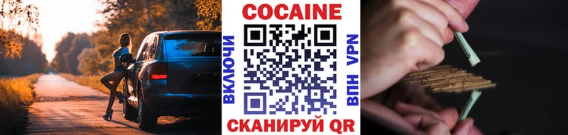 COCAIN Fish Scale  Купить закладки  Калтан 