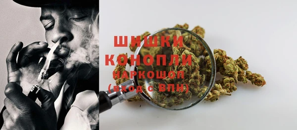 стаф Гусь-Хрустальный