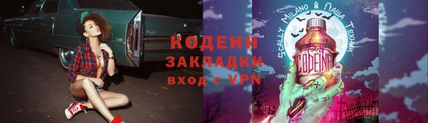 стаф Гусь-Хрустальный