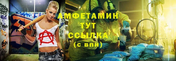 стаф Гусь-Хрустальный