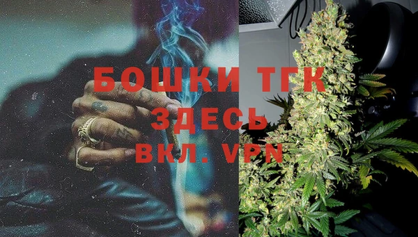 стаф Гусь-Хрустальный
