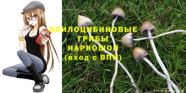 MDMA Premium VHQ Гусиноозёрск