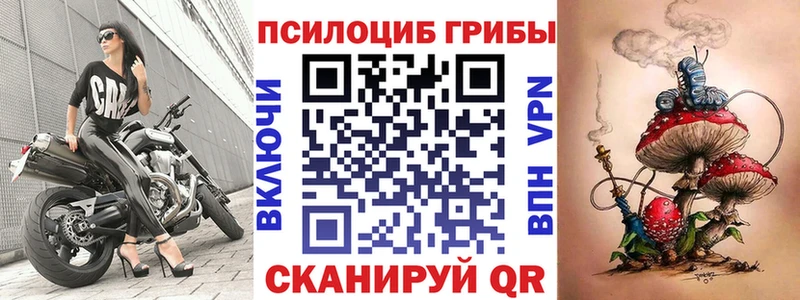 Купить закладки  Калтан  Псилоцибиновые грибы Cubensis 